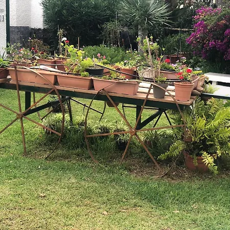 Apartament Eureka 167 *