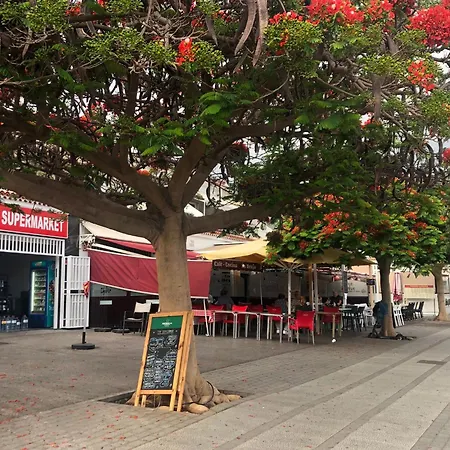 Eureka 167 דירה קוסטה דל סילנסיו